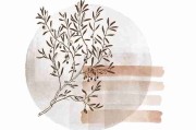 2025.12.20 黑料万里长征首页｜今日 复盘生态 暗藏玄机，万里长征黑料未打烊