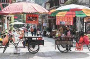 【蘑菇视频电脑版】沉浸式暗线故事追本溯源 - 附图解，蘑菇视讯