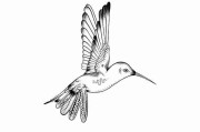 【51网在线观看】梦幻文化符号爆料 - 沉浸体验