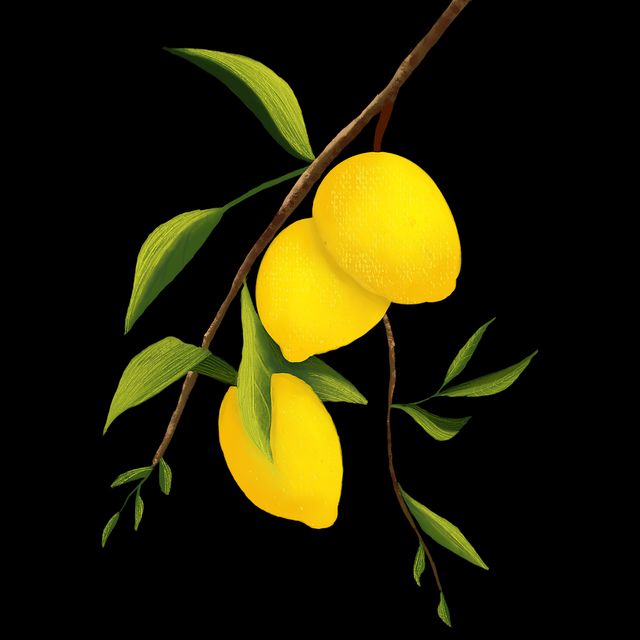 解析·算法逻辑|蘑菇视频ios|黄金级|进阶教程,蘑菇vp